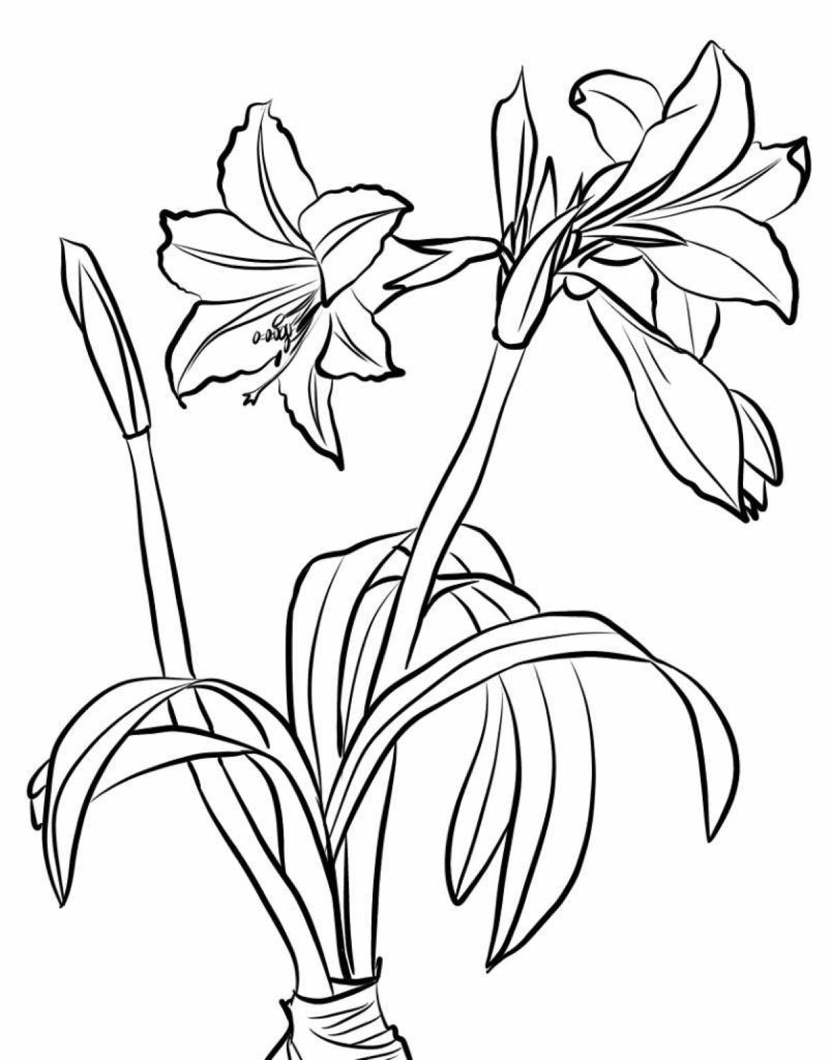 Luminous flower coloring pages