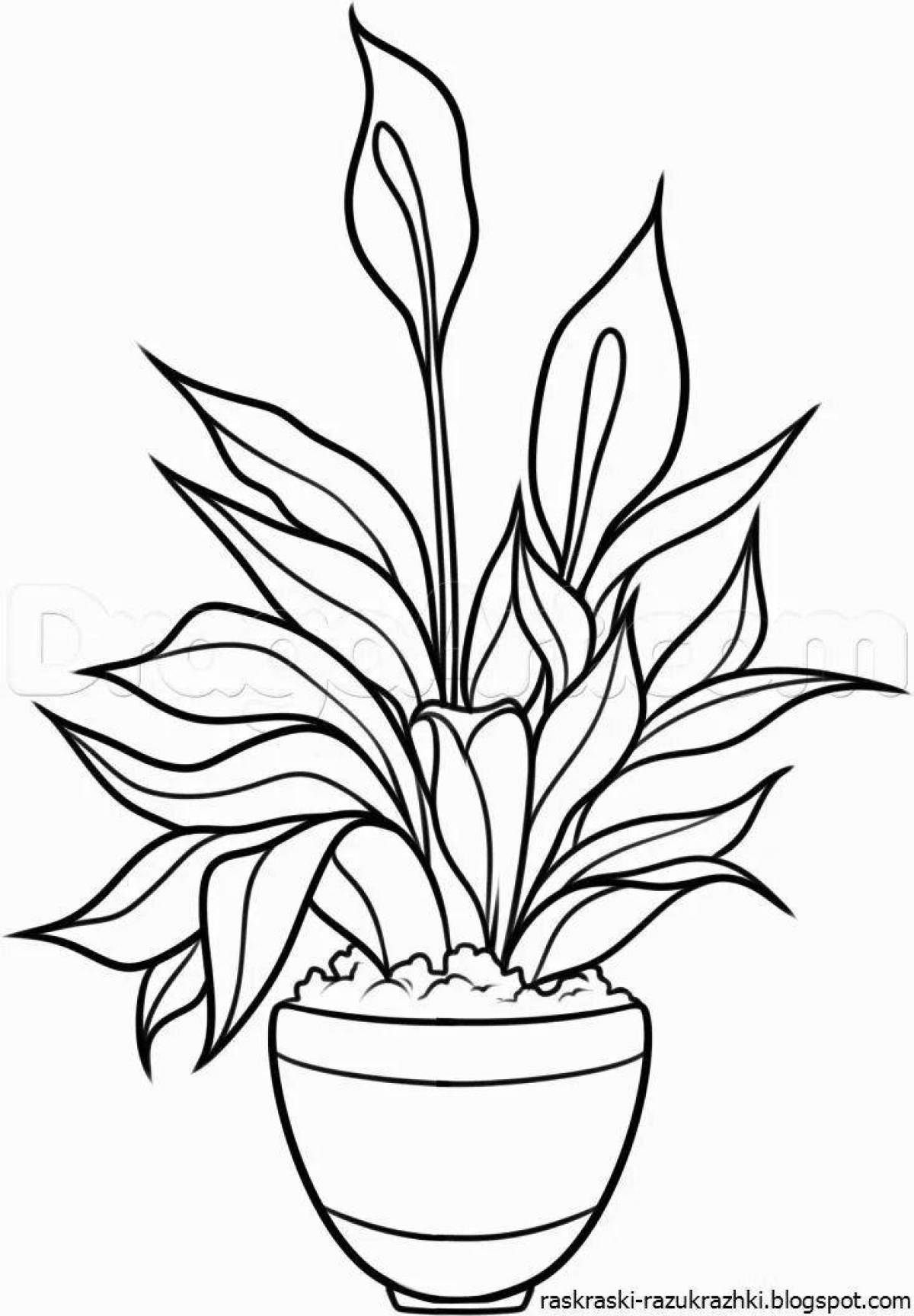фото растений нарисованных