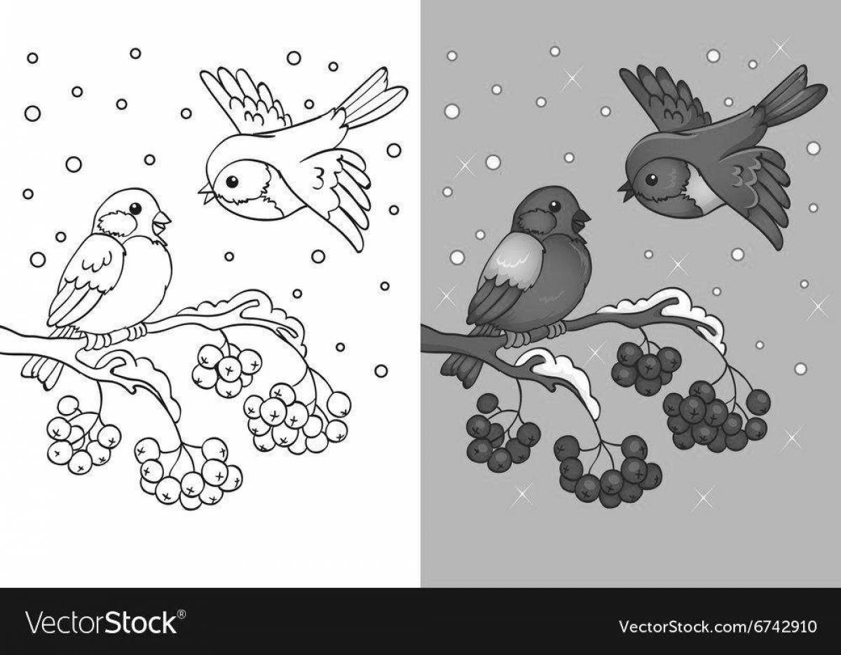 Courageous bullfinch coloring page