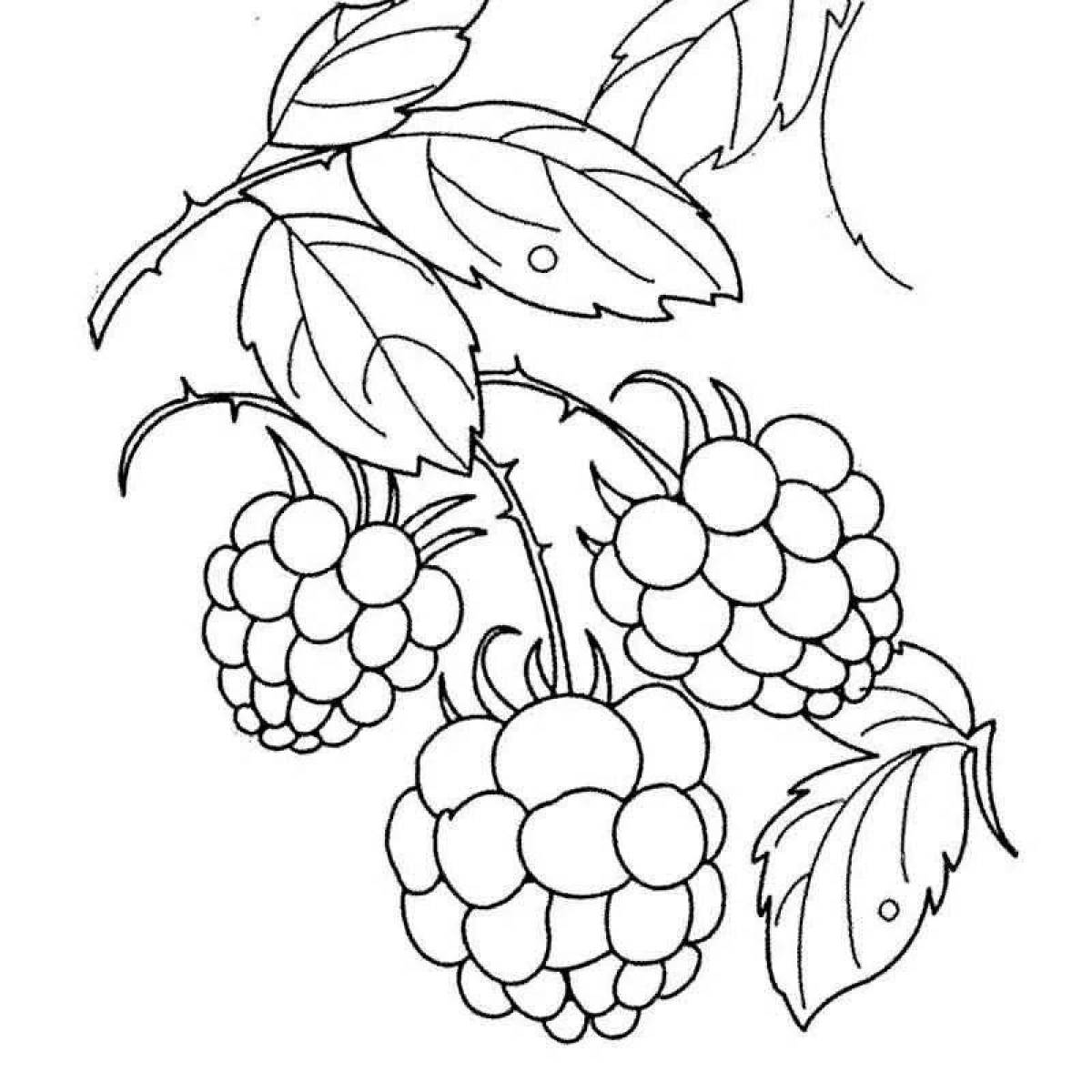 A fun raspberry coloring book for kids