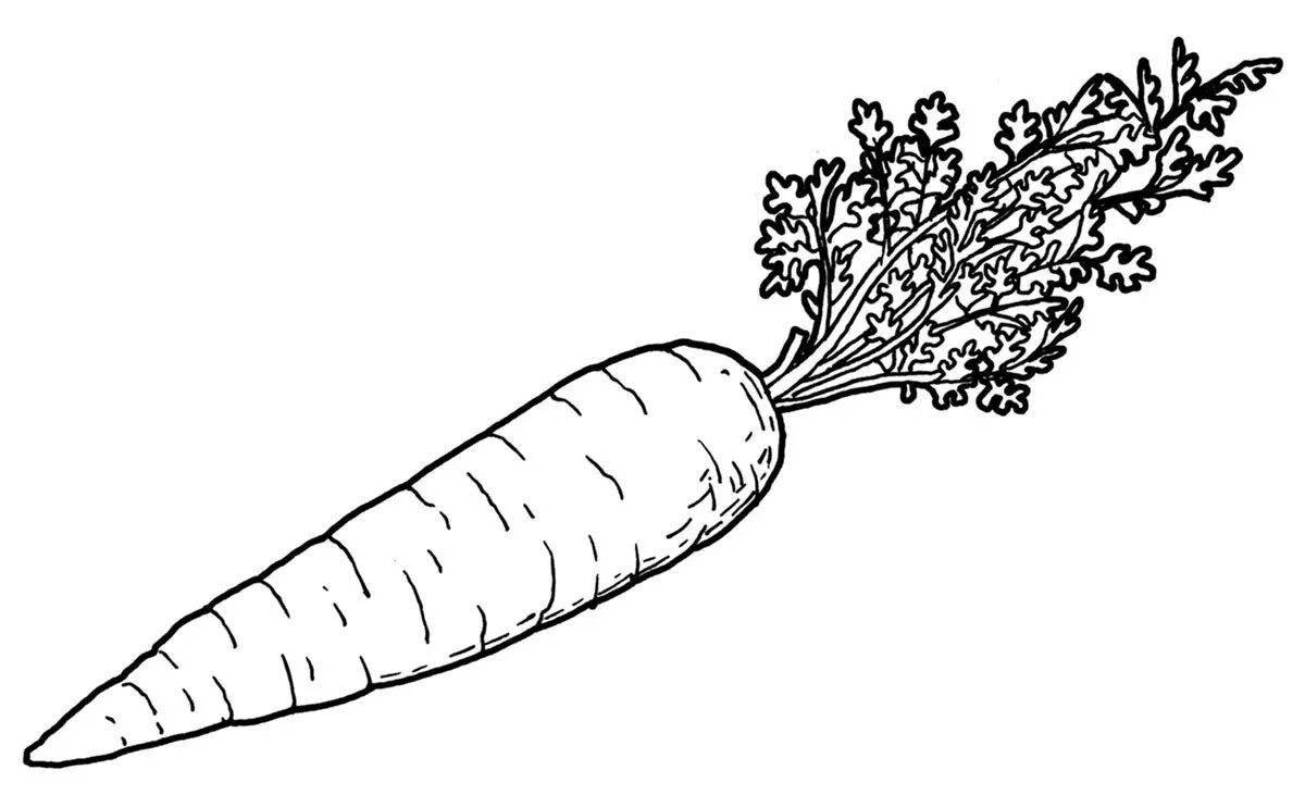 Интересная морковная раскраска для малышей 2-3 лет