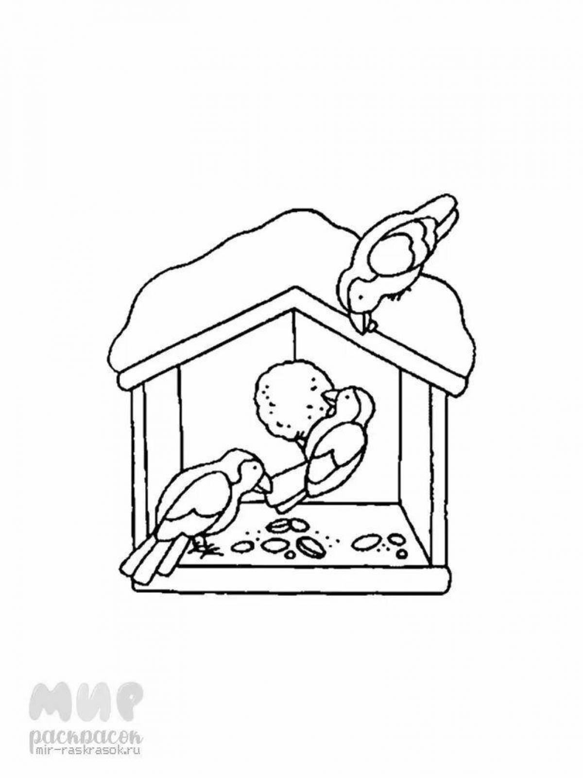 Раскраска яркая кормушка для птиц для дошкольников