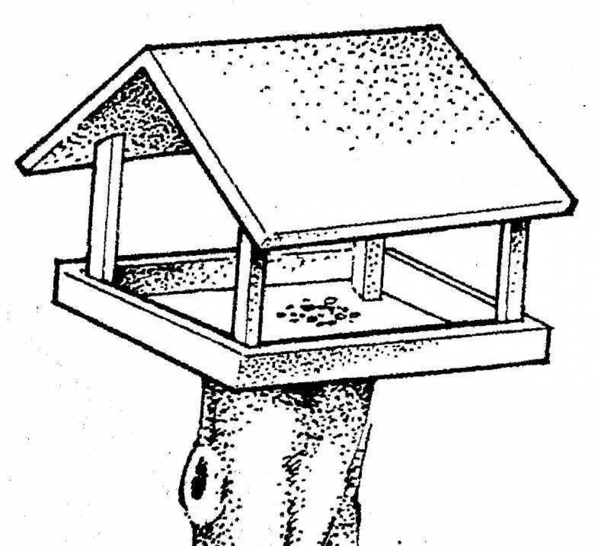 Fun bird feeder coloring pages for kids