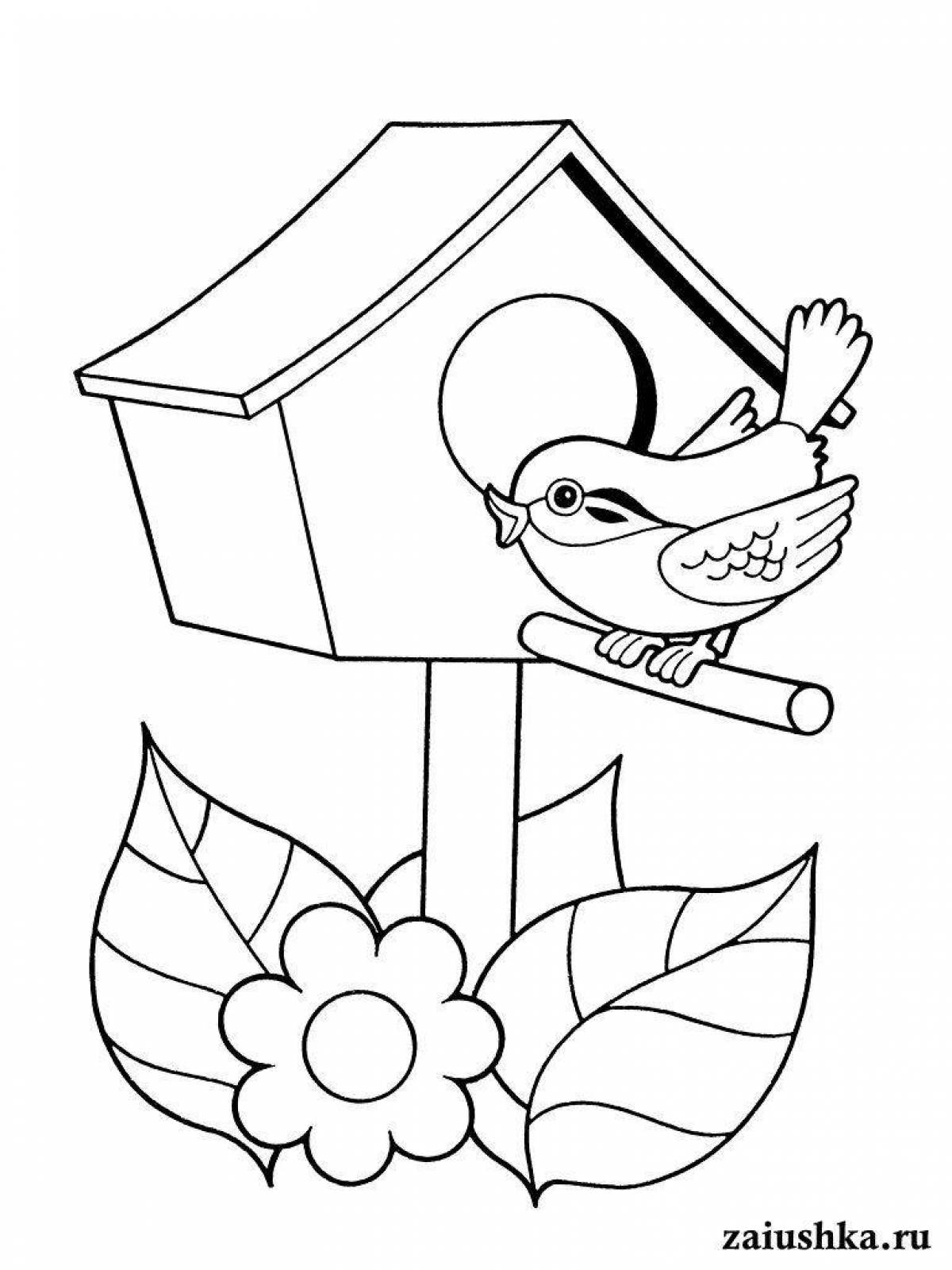 Amazing bird feeder coloring page for 3-4 year olds