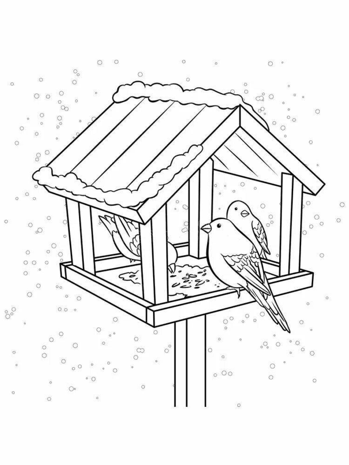 Perfect bird feeder coloring pages for preschoolers