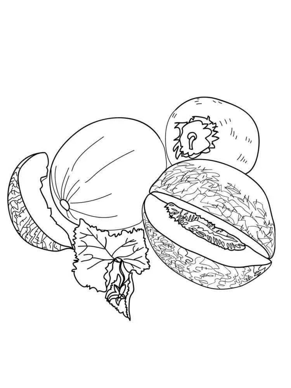 Colorful melon coloring page