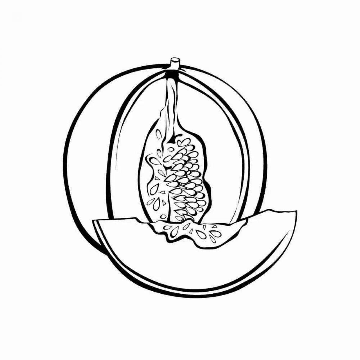 Tempting melon coloring page