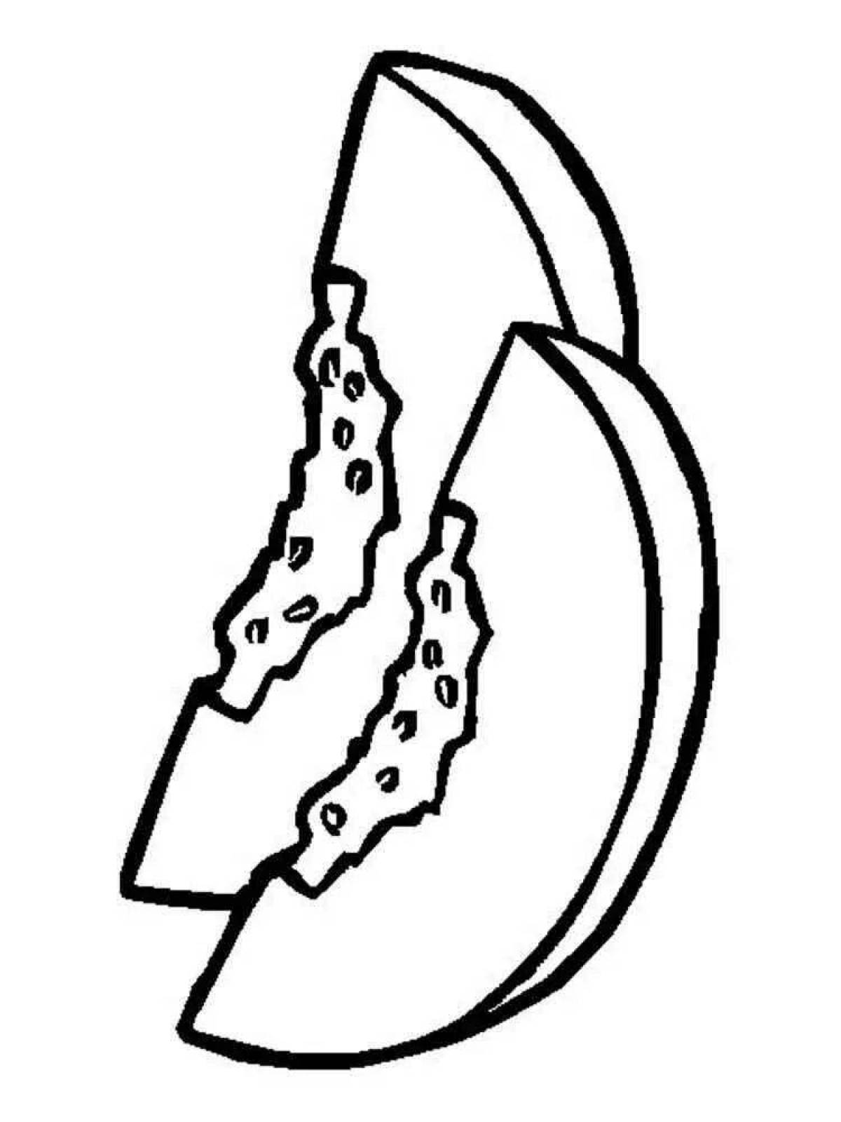 Detailed melon coloring page