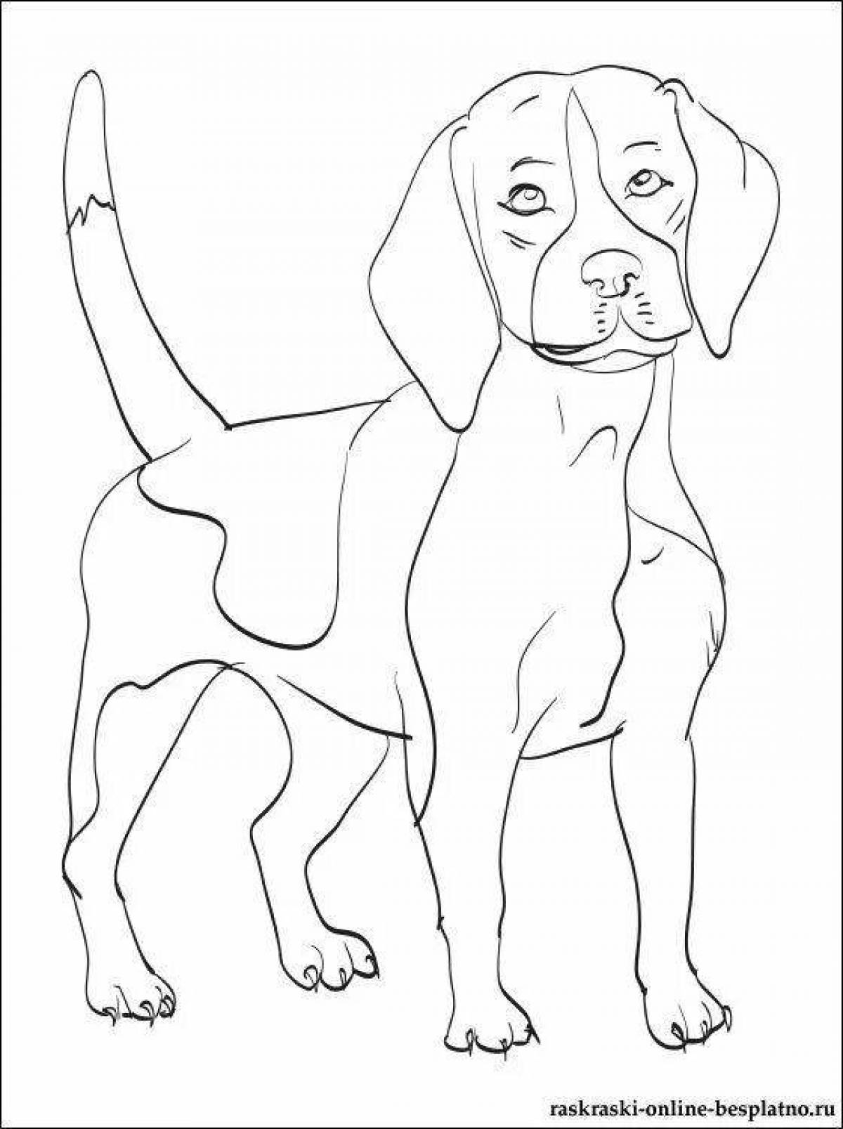 Coloring funny beagle