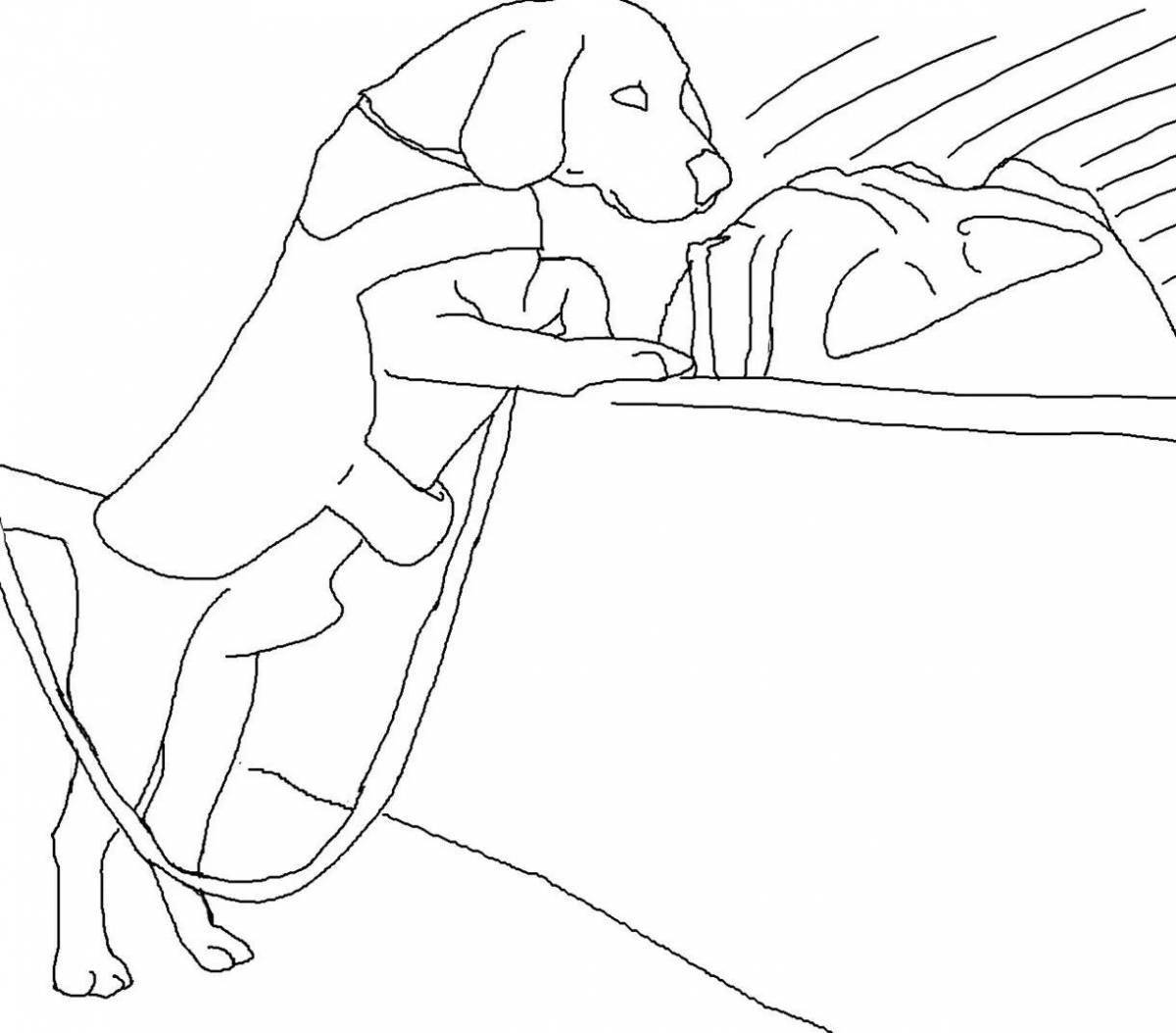 Bright beagle coloring page