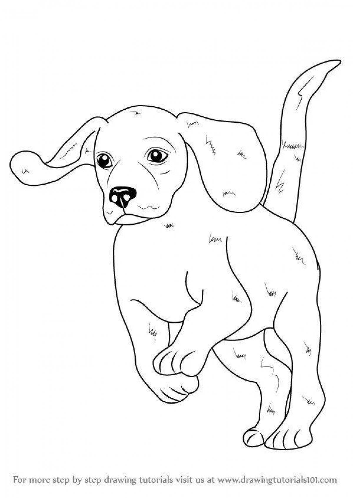 Fun coloring beagle