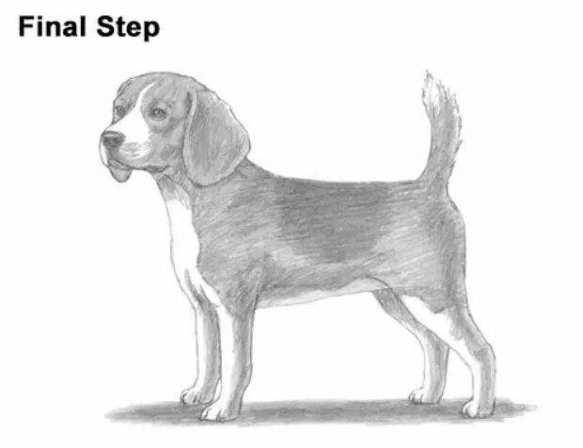 Adorable beagle coloring page