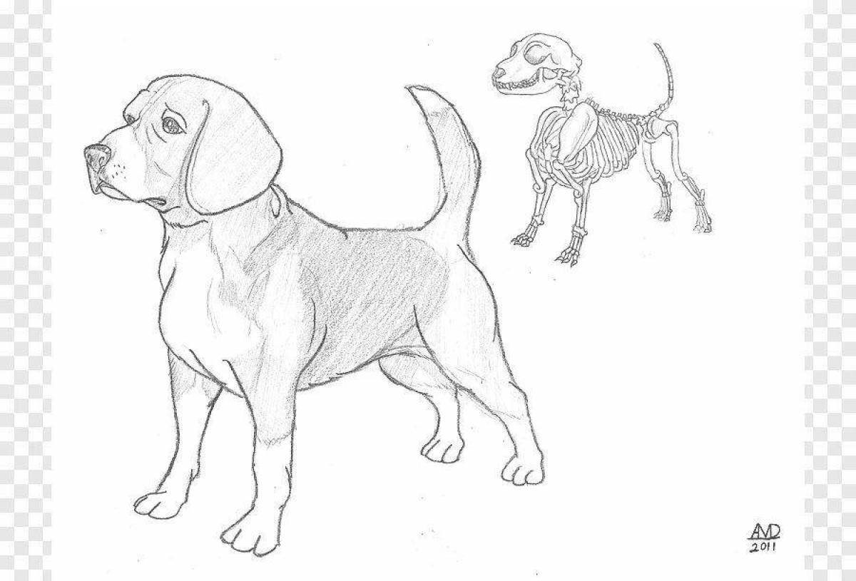 Glowing beagle coloring page
