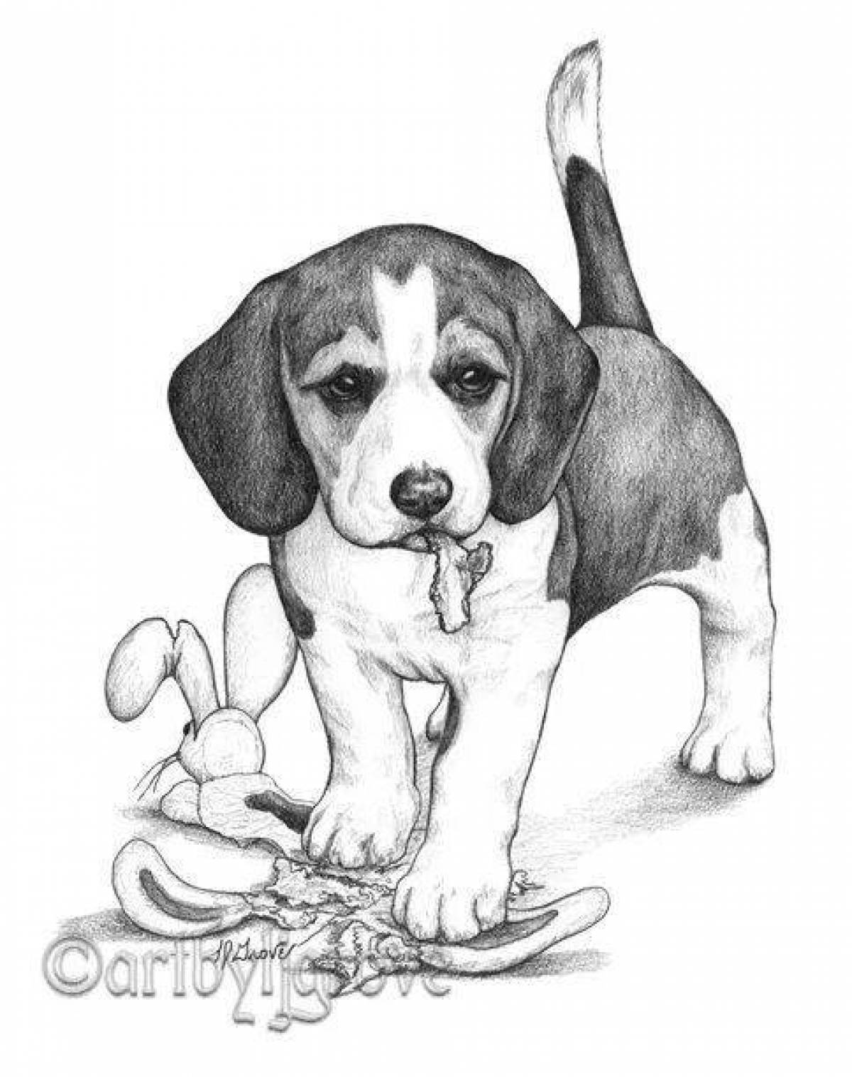 Radiant beagle coloring page