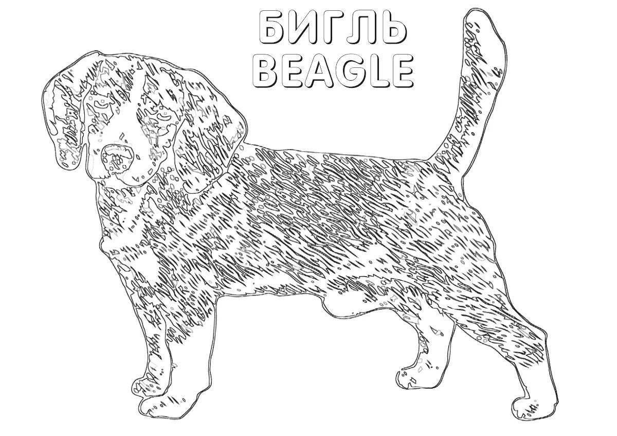 Beagle glitter coloring