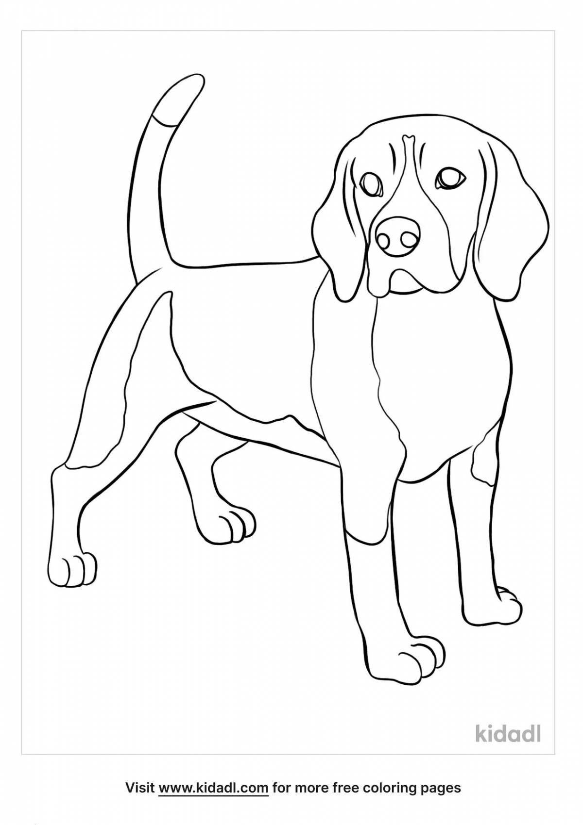 Coloring book magic beagle