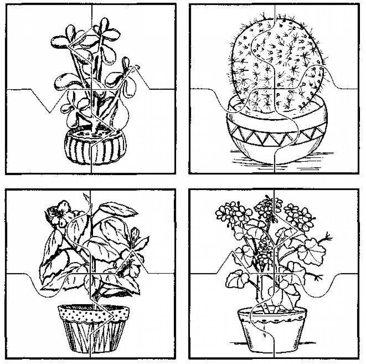 Конспекты уроков комнатными растениями. Раскраска комнатные растения для детей. Комнатные растения задания. Комнатные цветы задания для дошкольников. Комнатные растения задания для дошкольников.