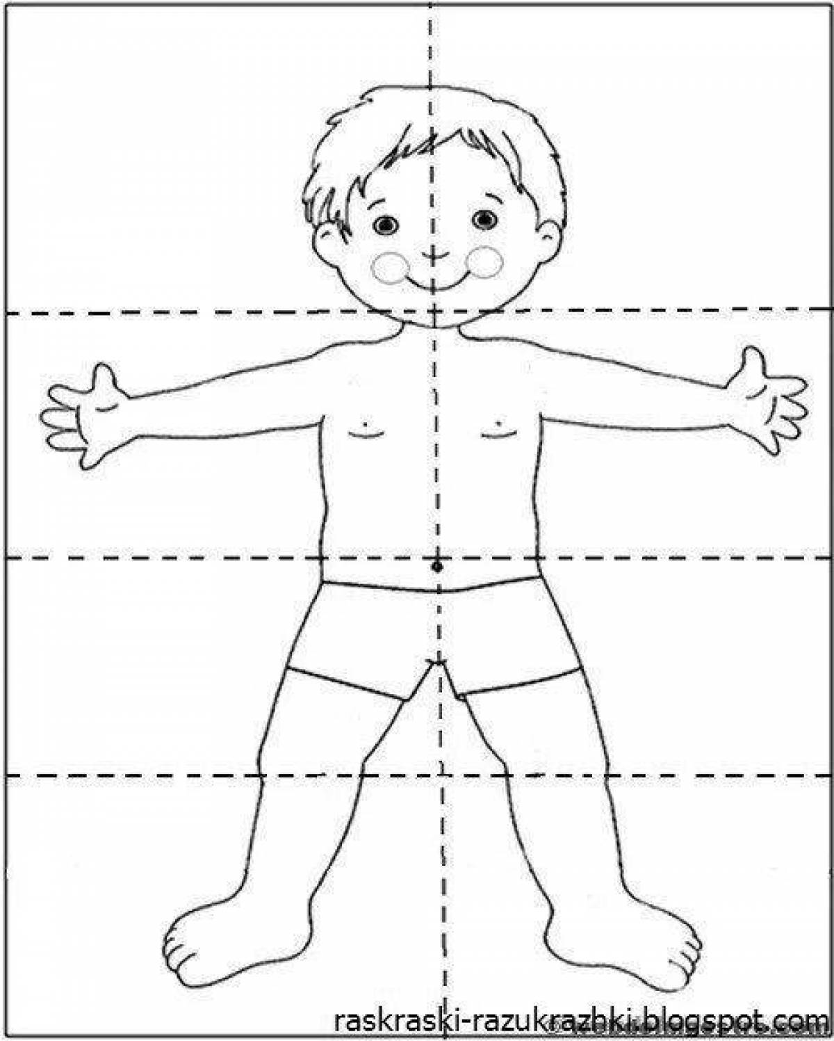Части тела человека для детей