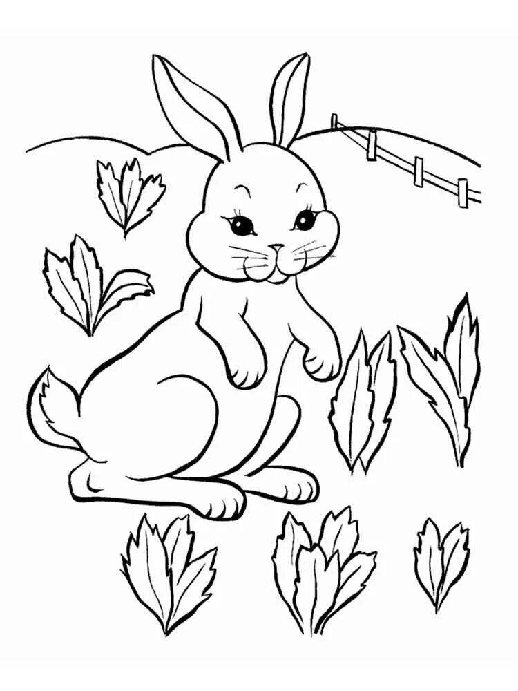 Поразительный рисунок зайца