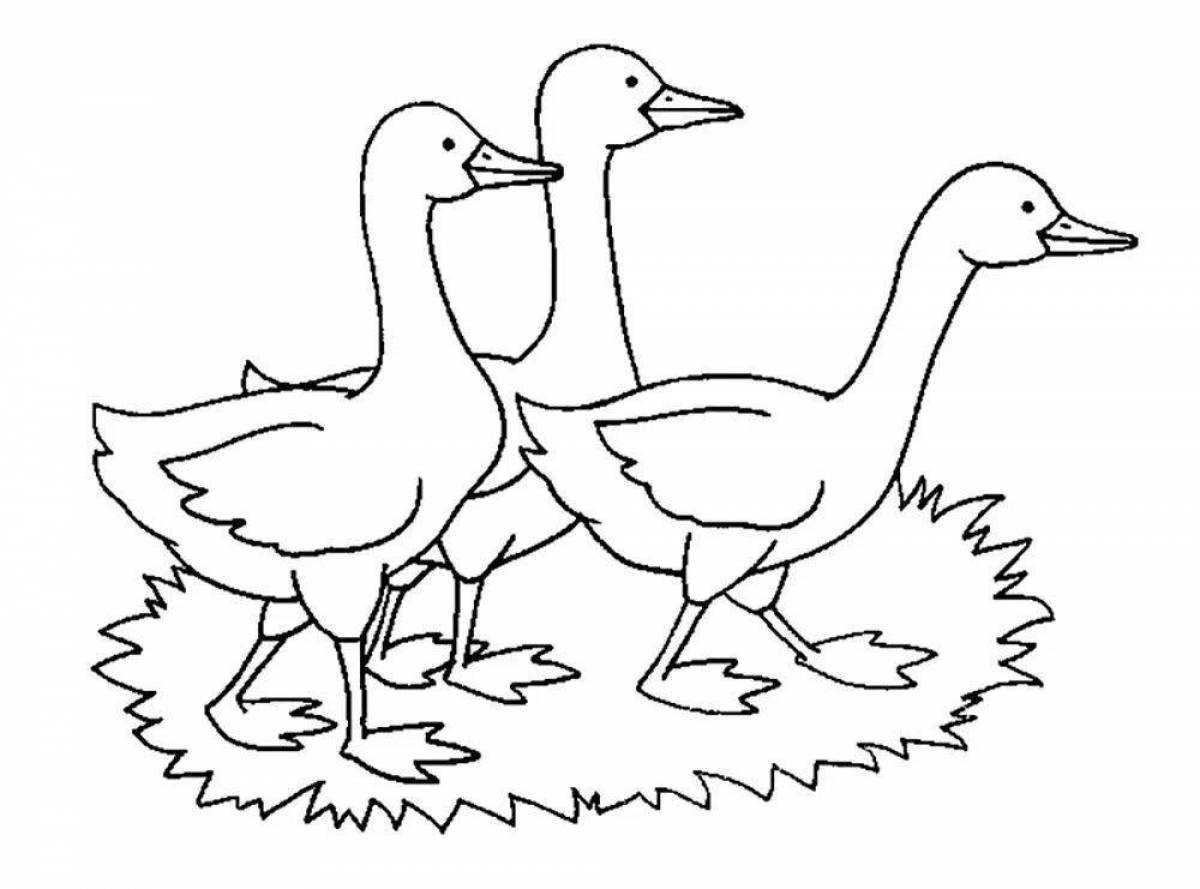 Fluffy goose hug coloring page