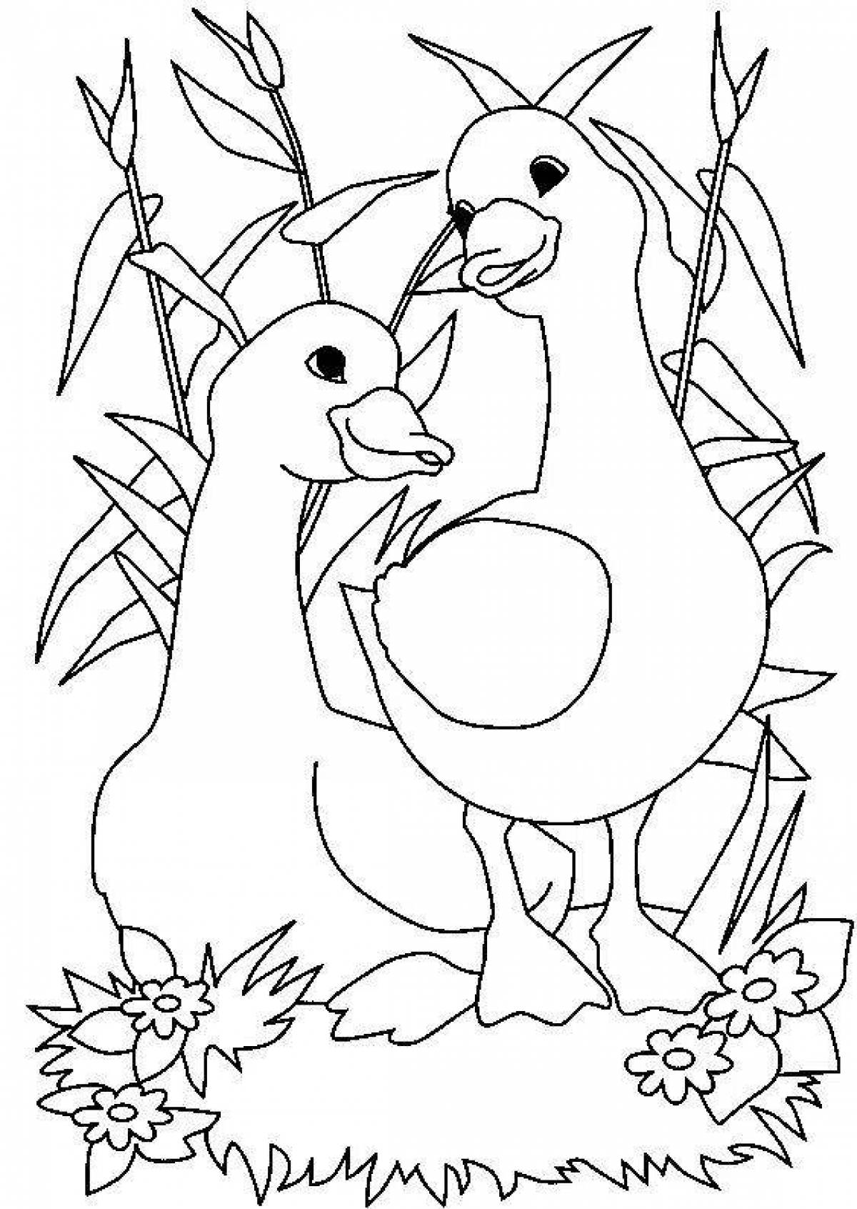 Coloring book sunny goose hug