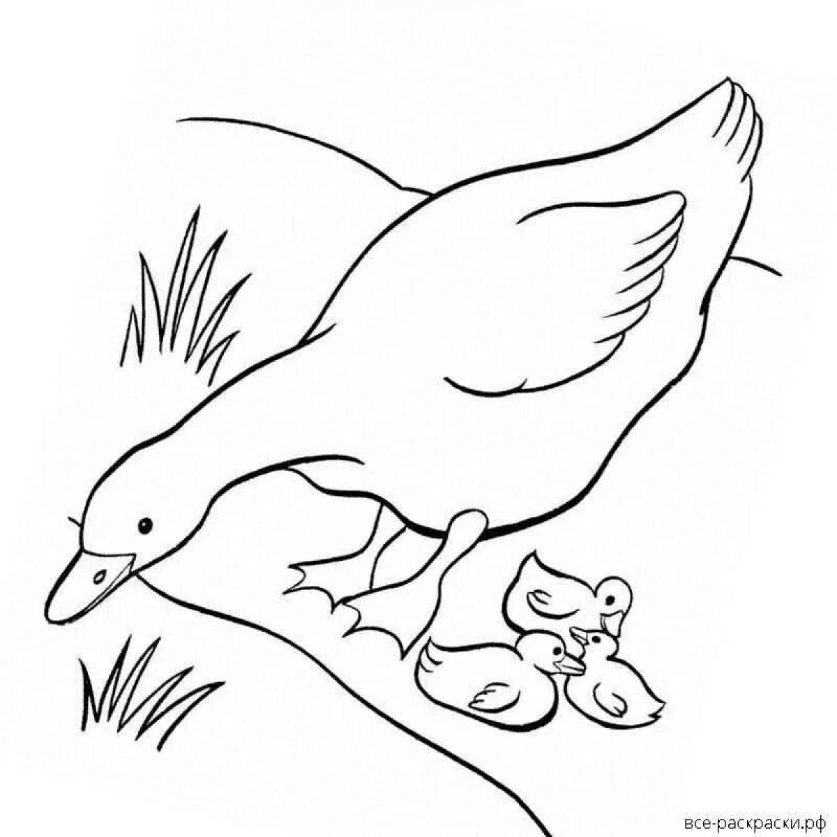 Glittering goose coloring page