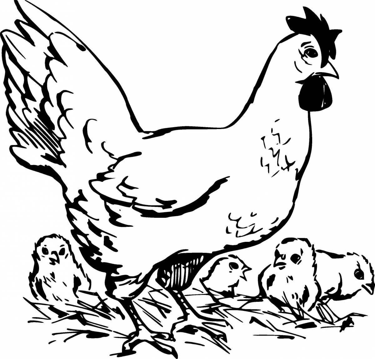 Веселая курица с цыплятами
