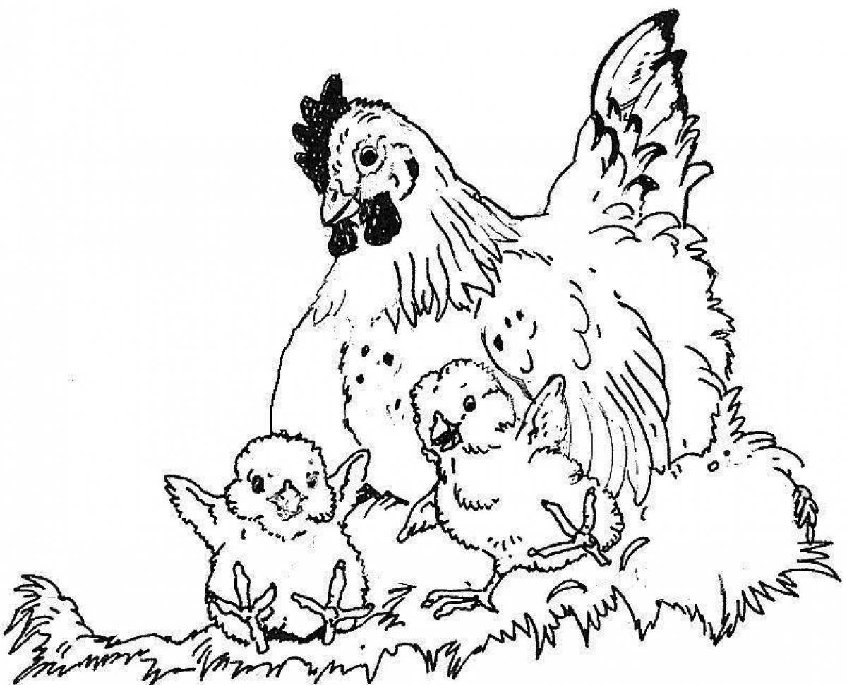 Радостная курица с цыплятами