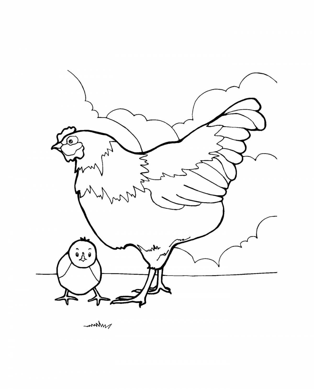 Изящная курица с цыплятами