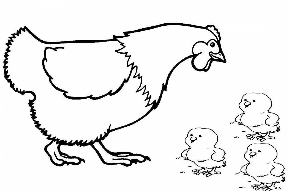 Лучистая курица с цыплятами