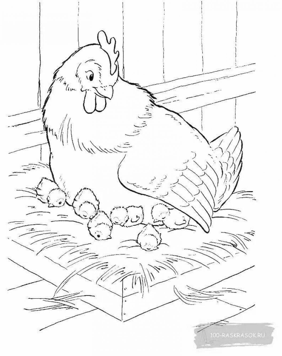 Hen with chicks #3
