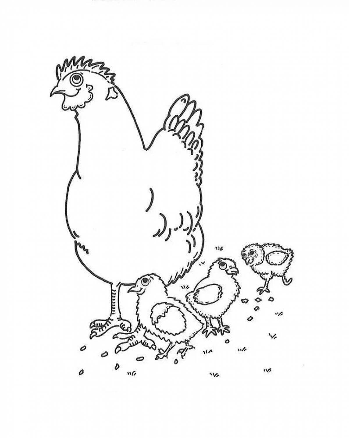 Курица с цыплятами #4