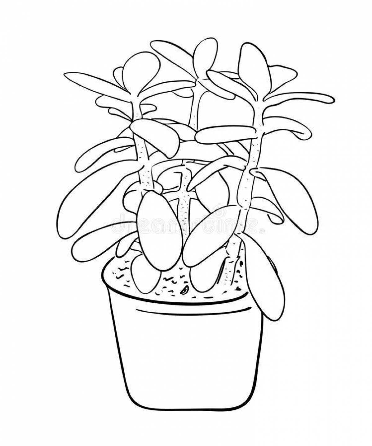Playful houseplant coloring for kids
