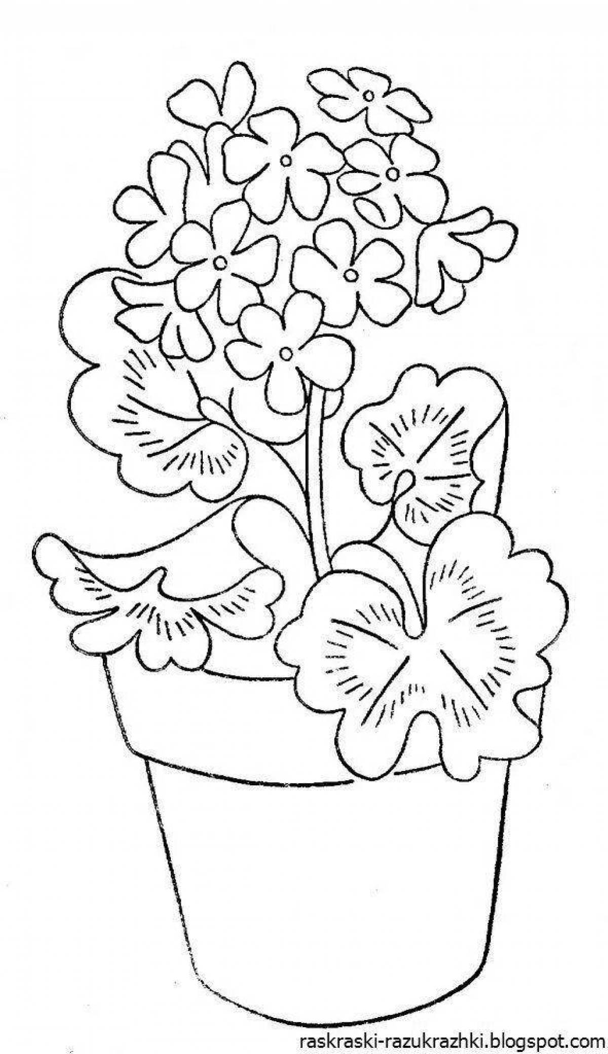 Adorable houseplant coloring book for kids
