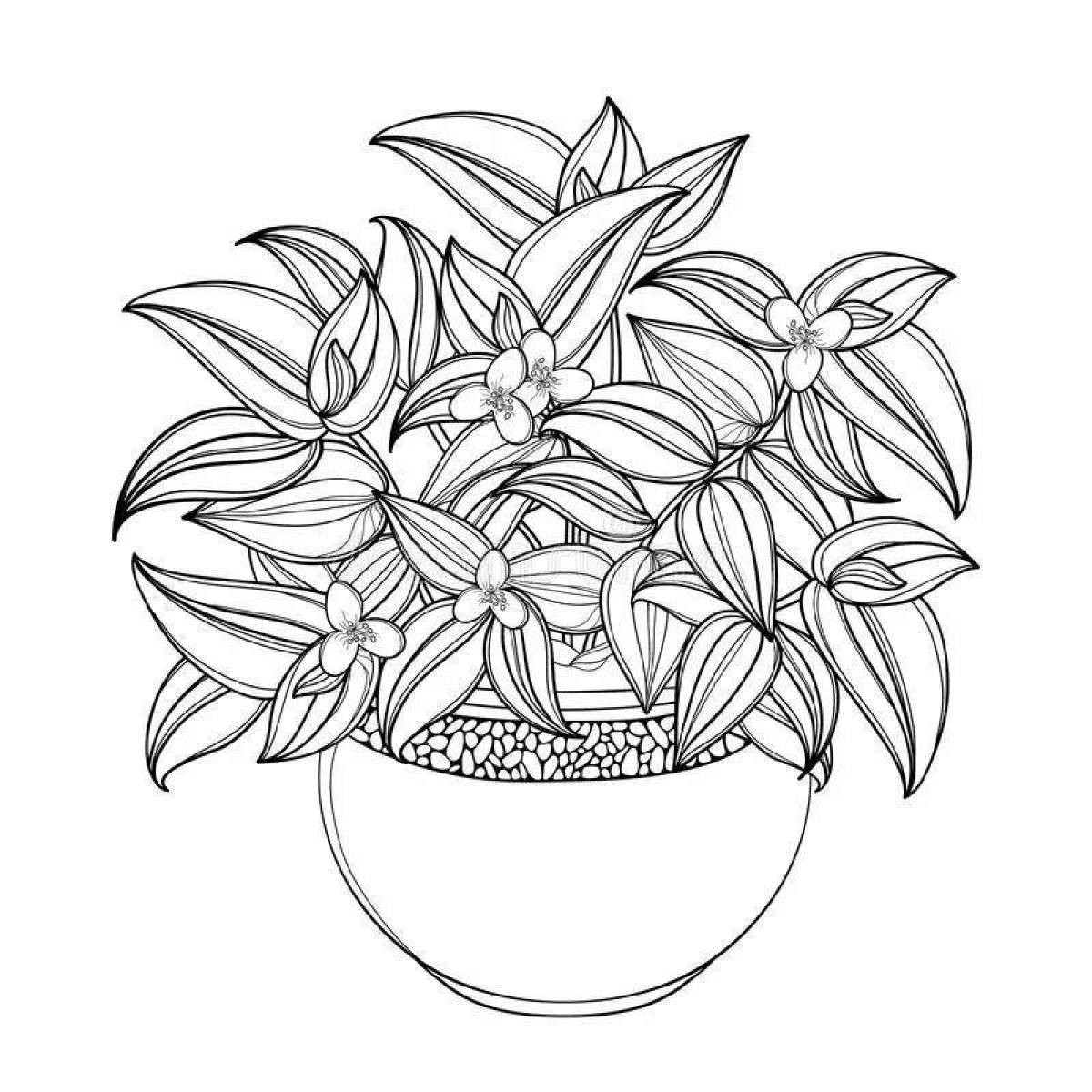 A fun coloring book for indoor plants for kids
