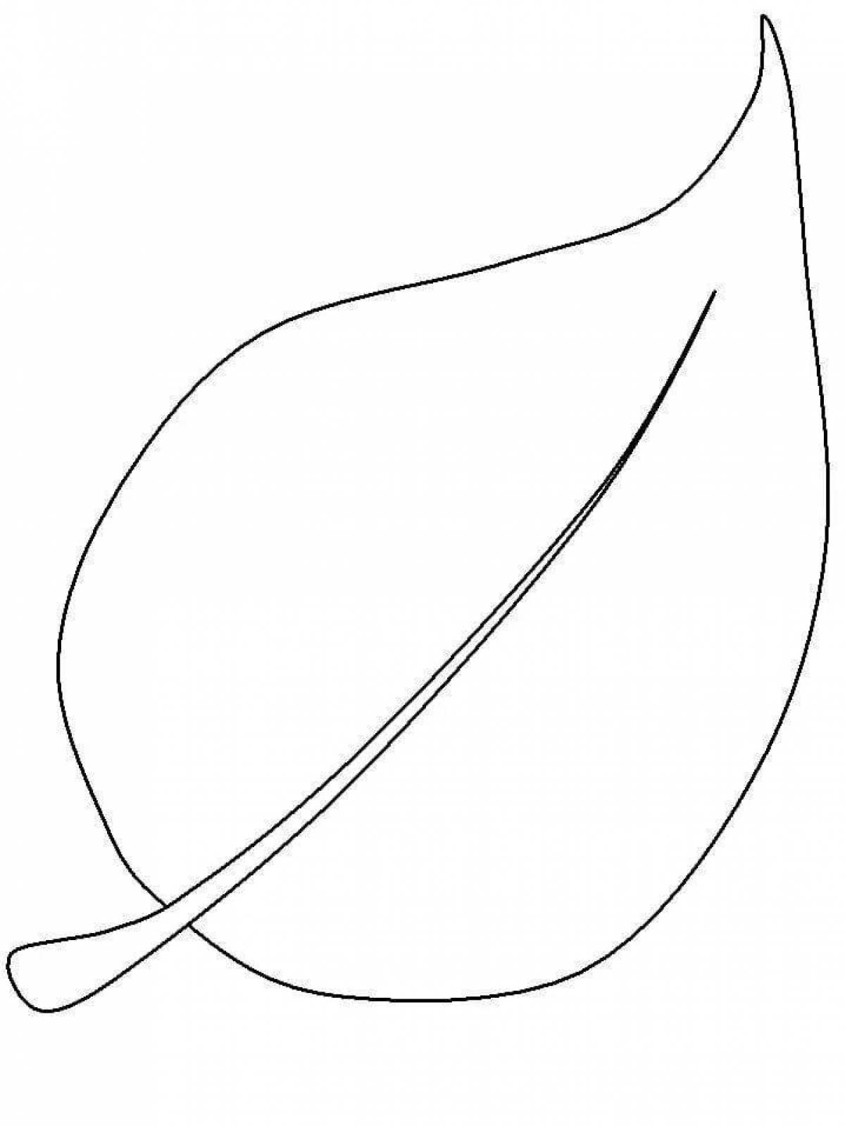 Great petal coloring page