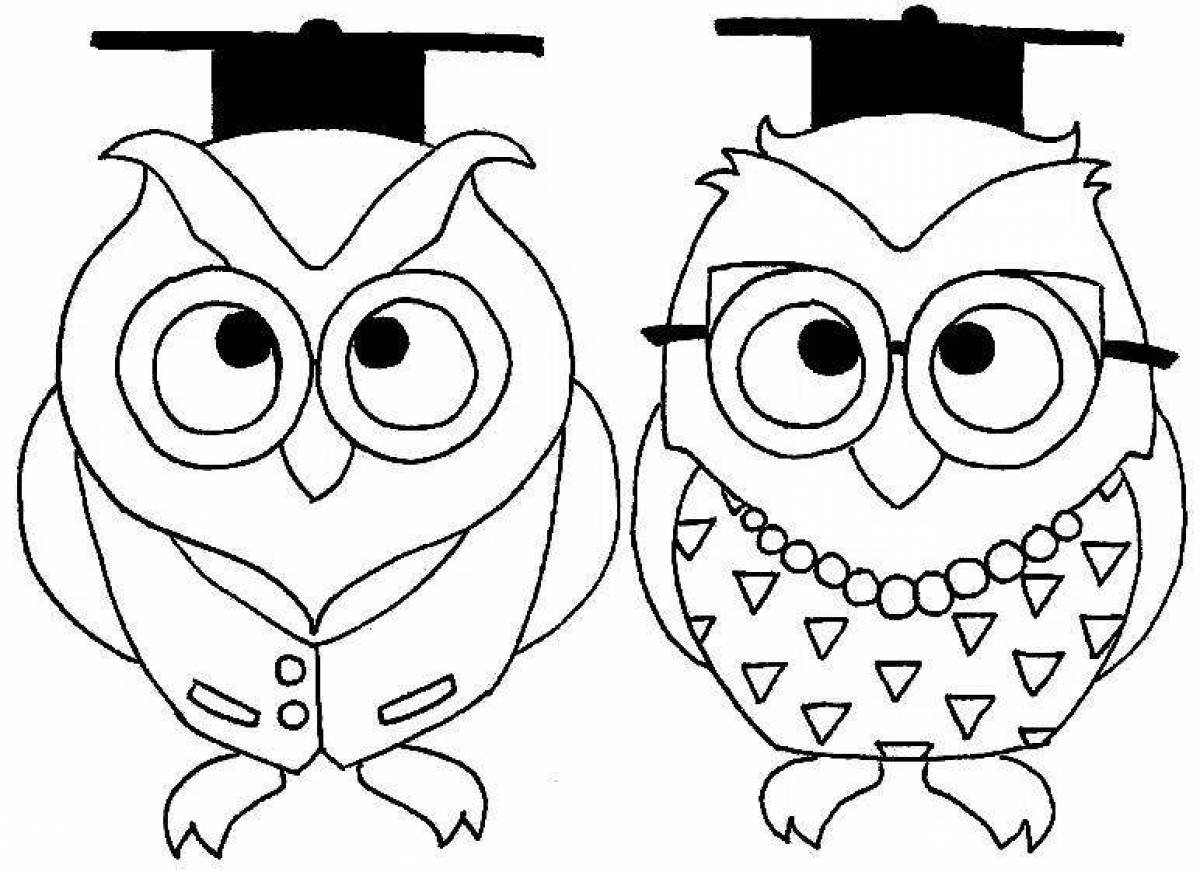 Playful smart owl coloring book