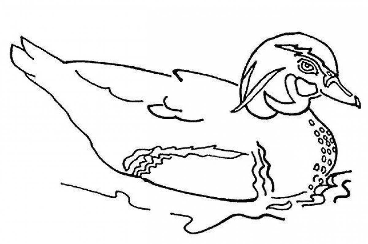 Раскраска лолофан утка с цветными брызгами