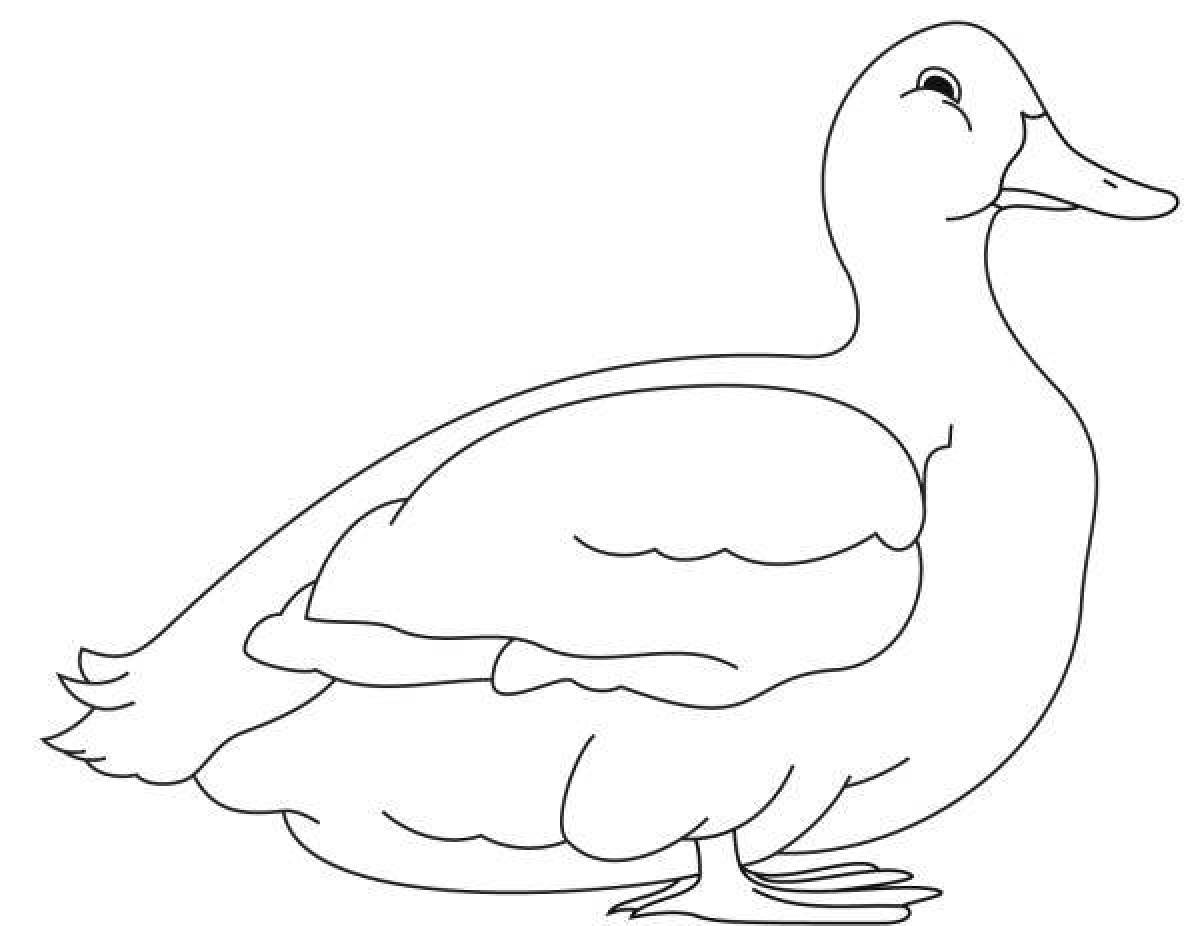 Joyful-lolofan duck coloring page