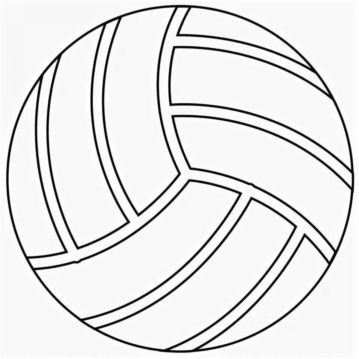Colorful volleyball coloring book