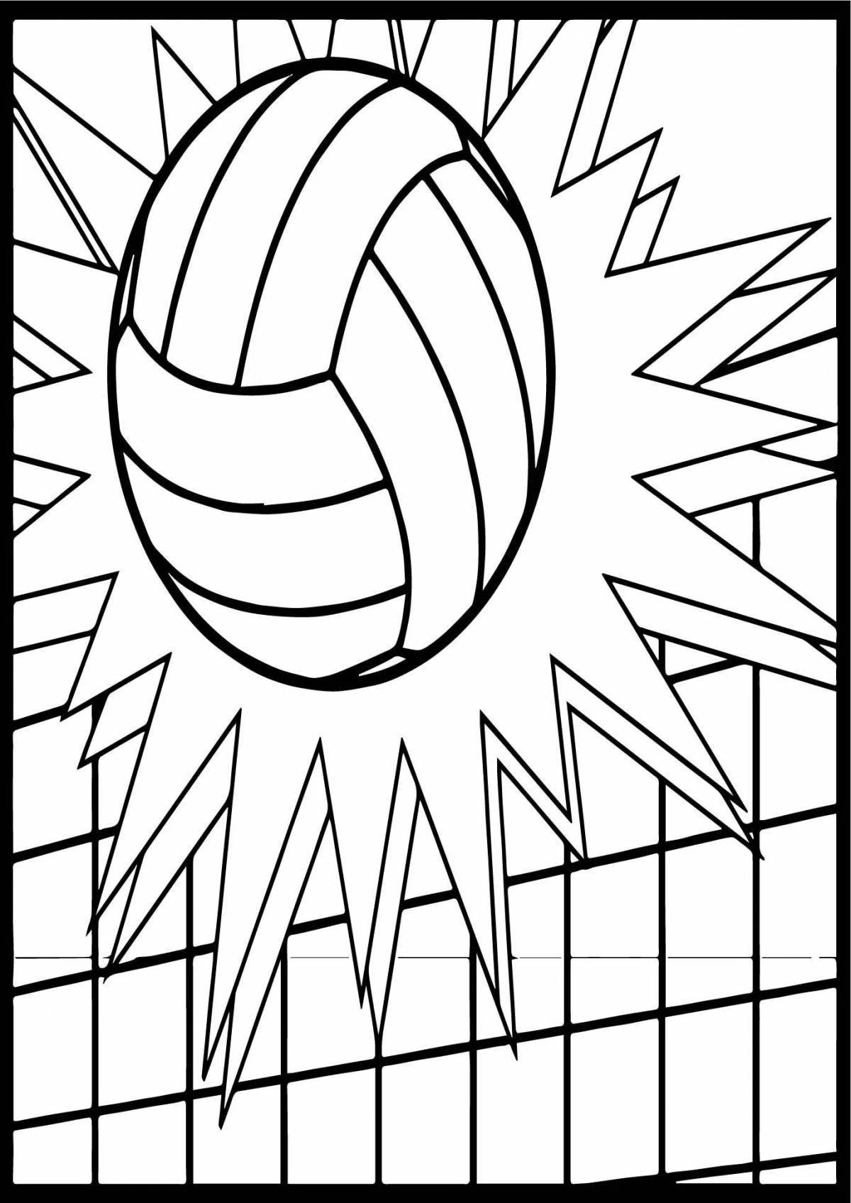 Bright volleyball coloring book