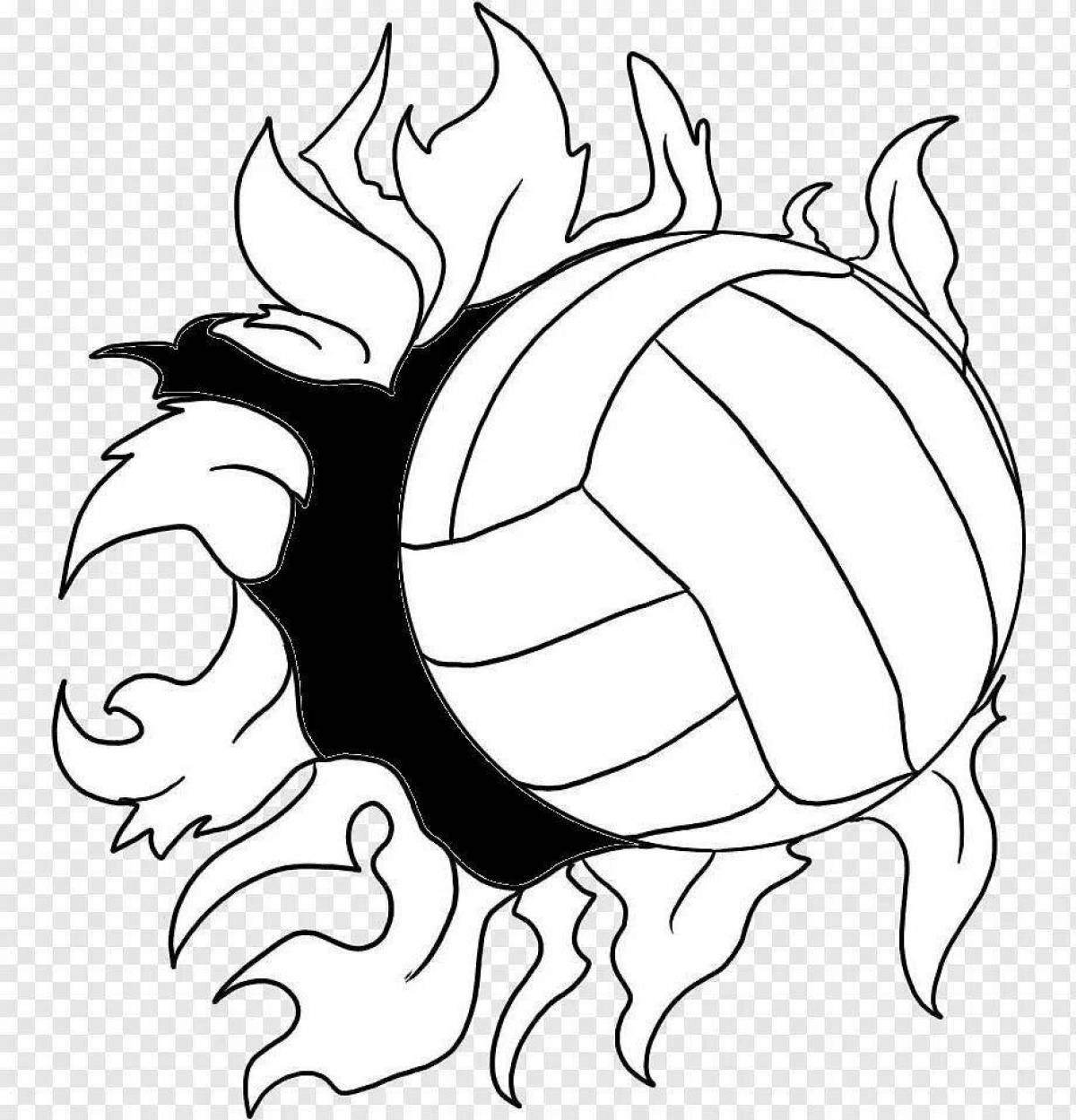 Live volleyball coloring book