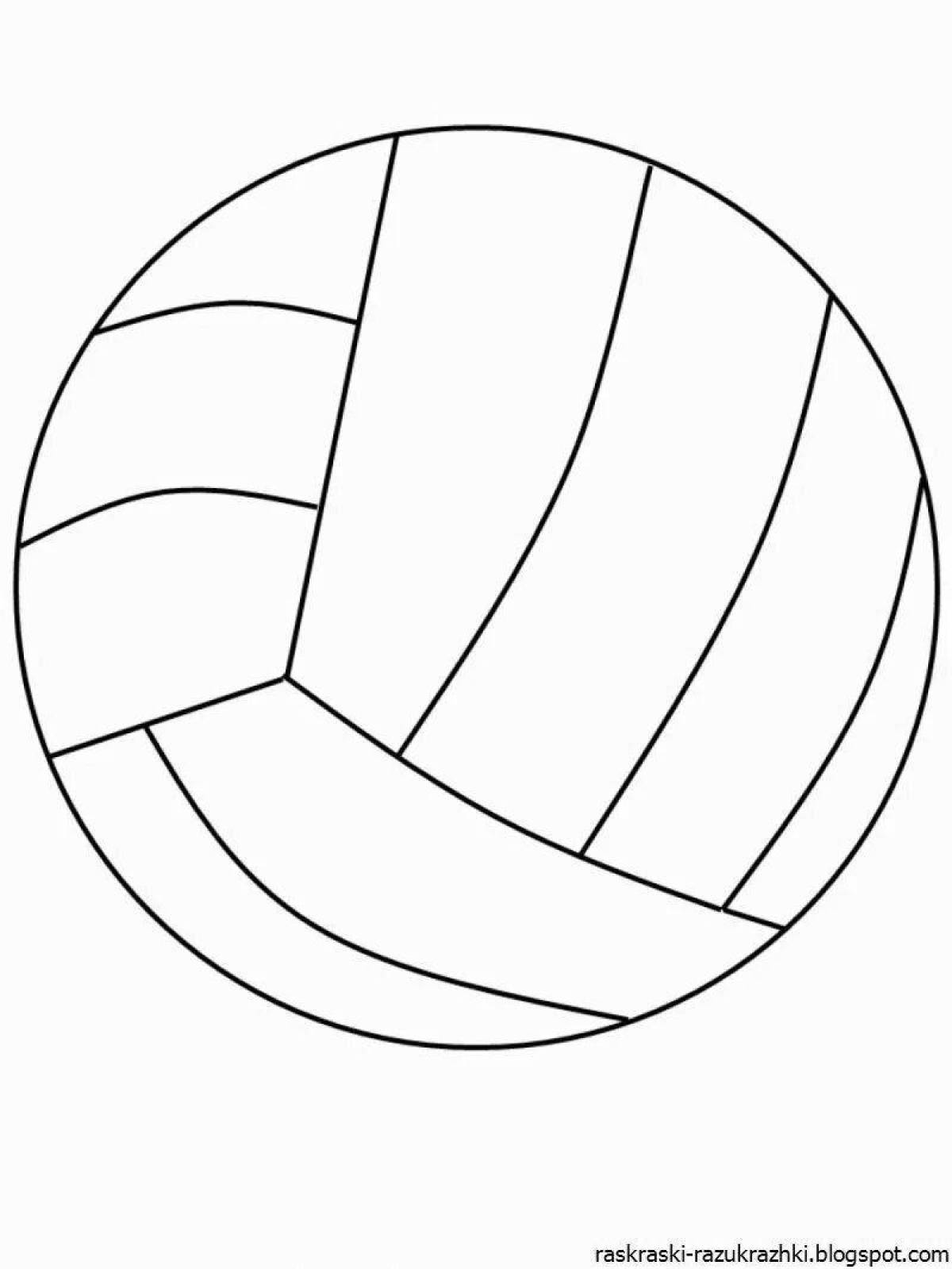 Charming volleyball coloring book