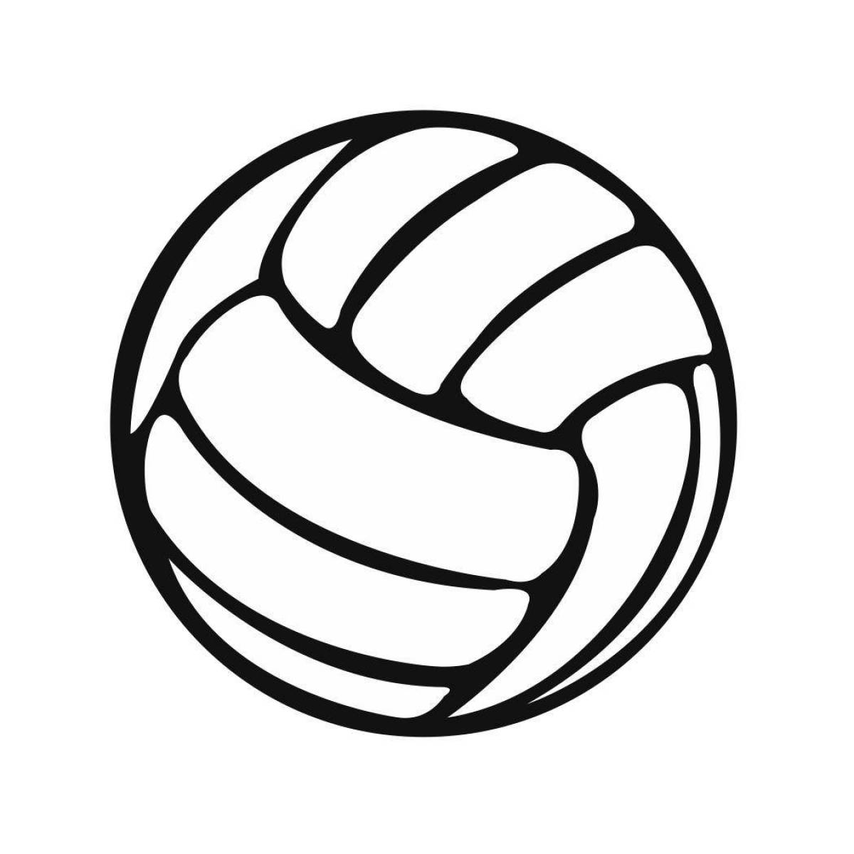 Magnetic volleyball coloring book