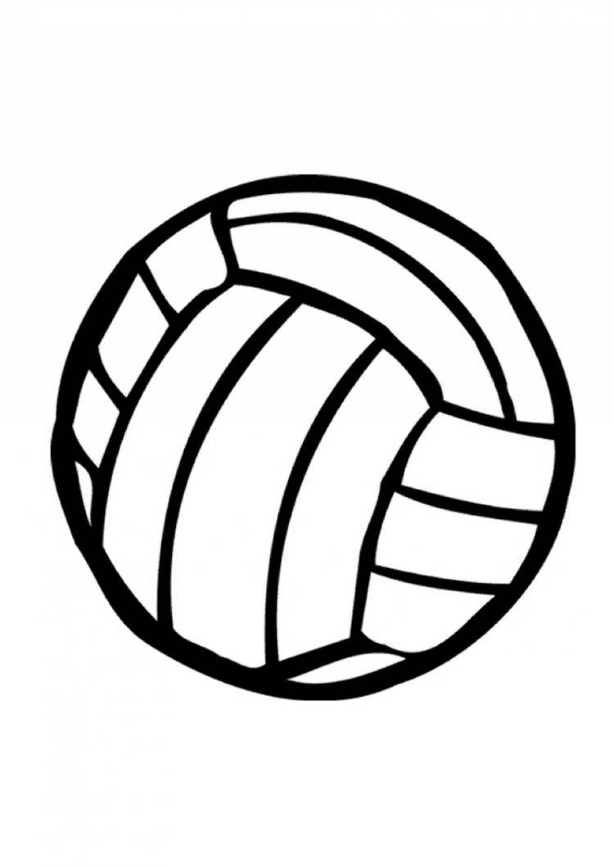 Fascinating volleyball coloring book
