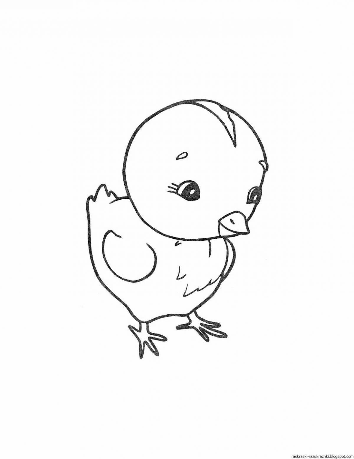 Chicken coloring page for kids