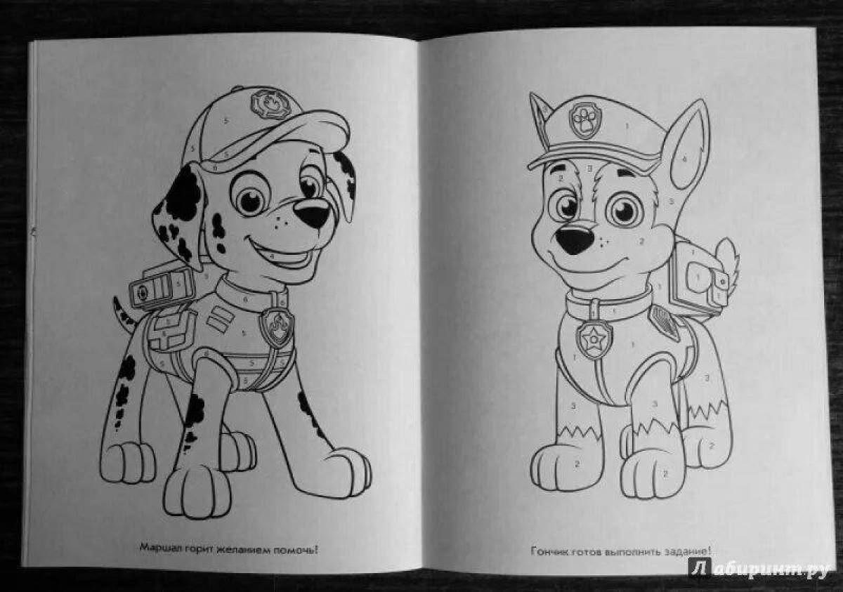 Gorgeous Paw Patrol coloring by numbers