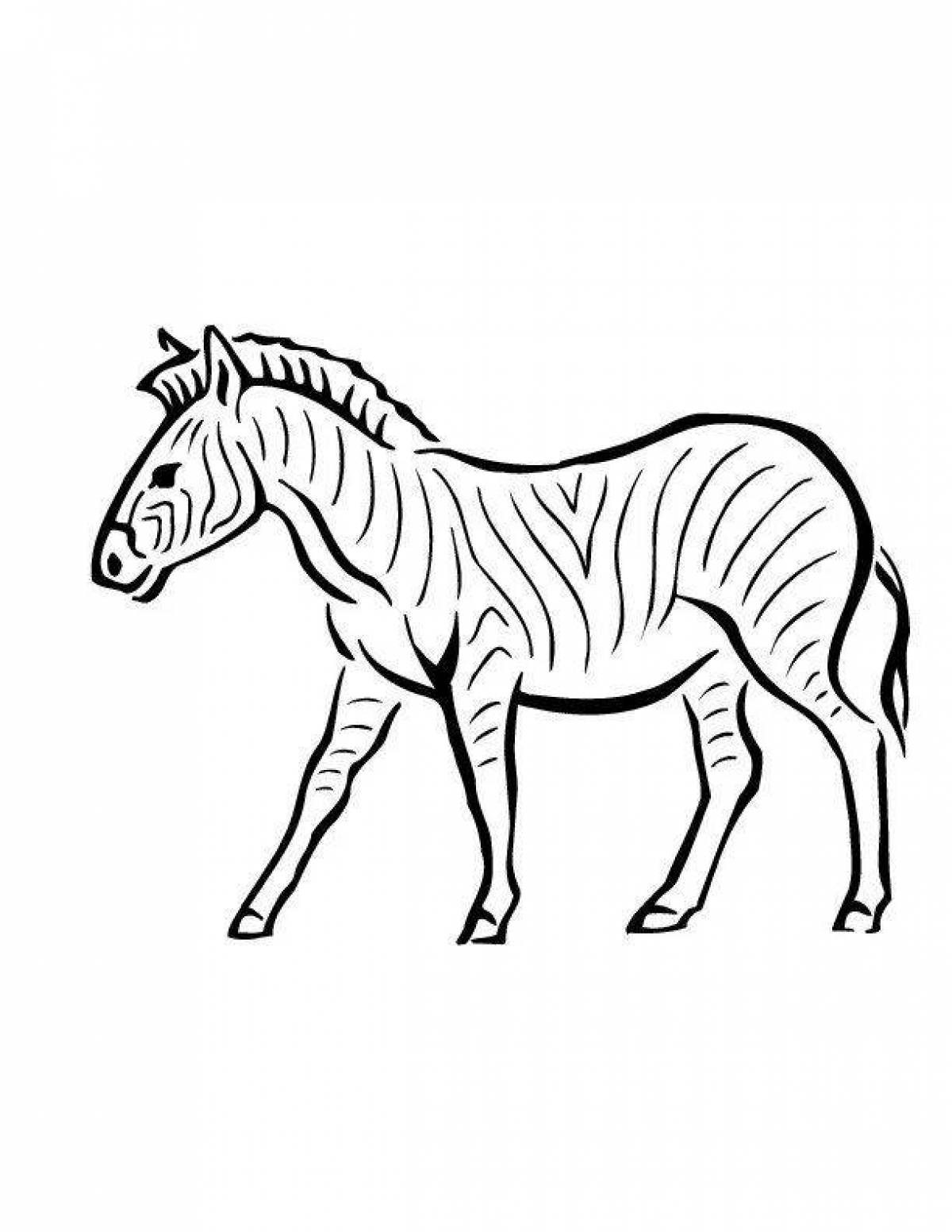 Gorgeous zebra without stripes for kids