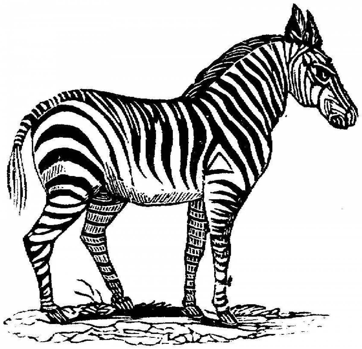 Amazing zebra without stripes for kids