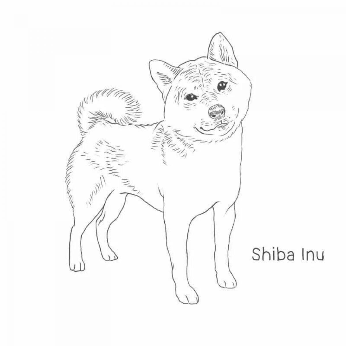 A fun shiba inu coloring page